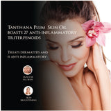 Tanthana Plum Blossoms Skin Oil